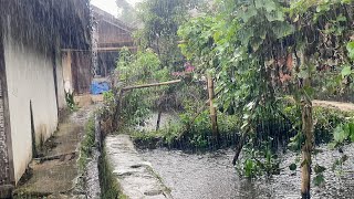 Very Heavy Rain Falls on Beautiful Villages in Indonesia | | Rain Relaxation For Deep Sleep
