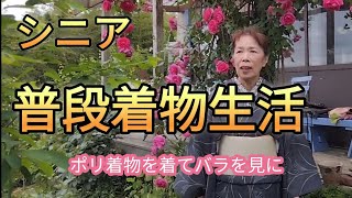 【シニア普段着物👘生活】絽の着物と間違えそうなポリ着物