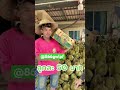 15 พฤษภาคม 2026 EP12 #ทุเรียน #ai #ทุเรียนจันทบุรี