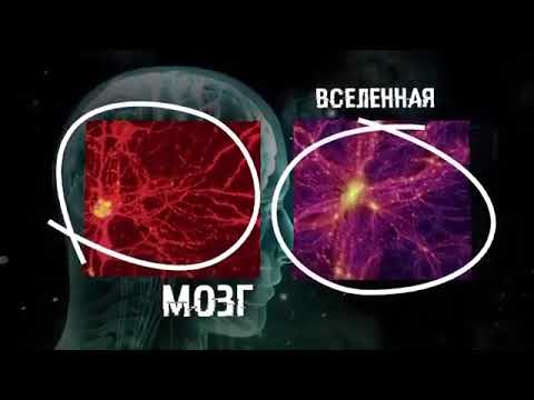 Вселенная живой организм. А мы лишь клетки... Внутри нас целая вселенная...