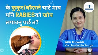 के कुकुर/बाँदरले चाटे मात्र पनि rabiesको खोप लगाउनु पर्छ? | Why is rabies vaccine necessary?