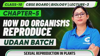Class 10 Biology Chapter 5 How Do Organisms Reproduce Lecture 3 Sexual Reproduction in Plants