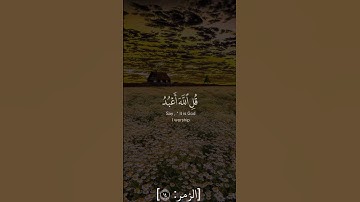 قل إني أخاف إن عصيت ربي عذاب يوم عظيم - من اروع تلاوات الشيخ حسن صالح - ( سورة الزمر ) - تلاوة خاشعة