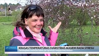 ReTV: Krasas temperatūras svārstības augiem rada stresu