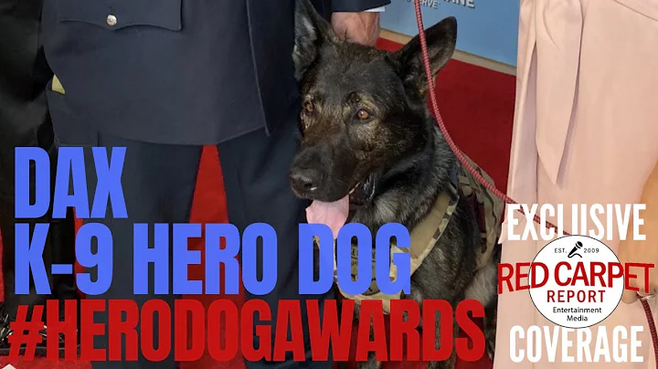 Hero Dog K-9 Dax interviewed at American Humane He...