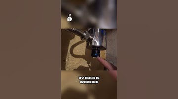 How to Check If Your UV Bulb Is Working in Your WATER SYSTEM! #shorts #diy #fix #fyp