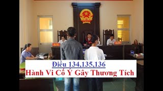 ✅ Điều 134,135,136: Hành Vi Cố Ý Gây Thương Tích | Luật Hình Sự | Triệu Quang Hùng