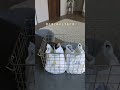 これで解決！赤ちゃんのお着替え準備術✨