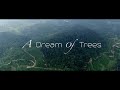 A Dream of Trees