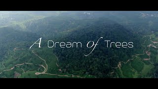 A Dream of Trees