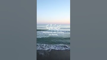 سورة الزمر القارئ ياسر الدوسري #ياسر الدوسري #سورة الزمر #shortvideo #اقتباسات #اكسبلور