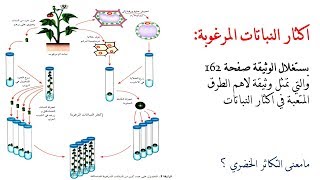 اكثار النباتات المرغوبة 1 ثانوي