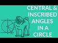 Understanding Central and Inscribed Angles