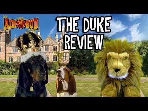 bringing down the duke review bringing down the duke review