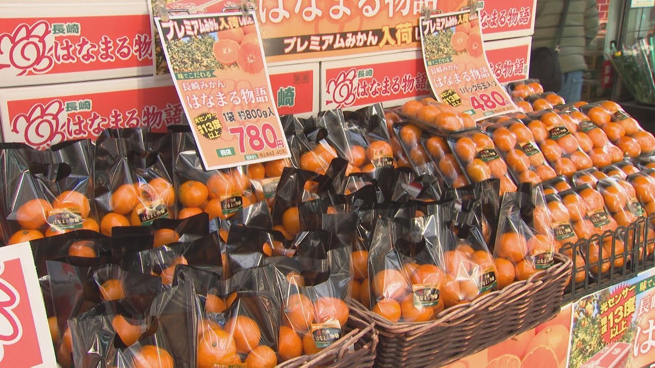 糖度13％以上の“プレミアム”ミカン「はなまる物語」きょうから限定