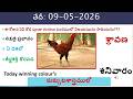 09 May 2026 today winning colours/Today winning colours /vision of kukkuta sastram in colours