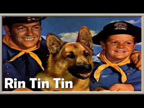 Rin Tin Tin e os Irmãos de Sangue 1954