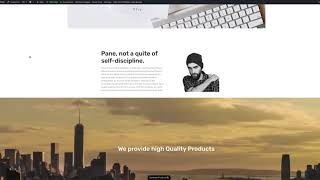 MÖWE WordPress - Theme Options Explained