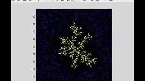 Diffusion Limited Aggregation