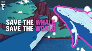 Save the whale. Save the world | Whale and Dolphin Conservation