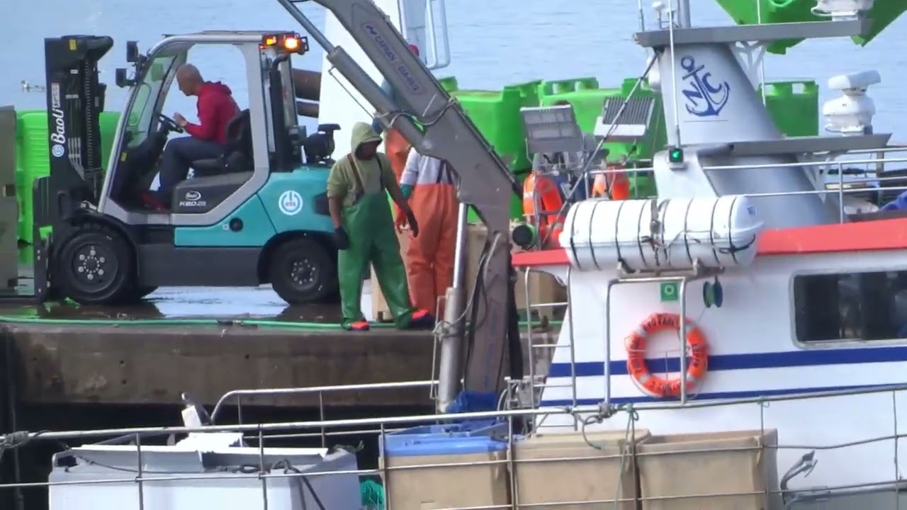 Barcos, Homens e Cais 15