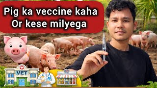 Pig ka veccine kaha milyega or kese milyega full information