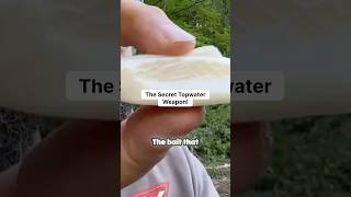 Savage Subtle Secret Topwater