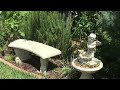 Too Hot to Garden? Do this!