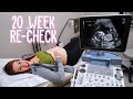 Visiting the Doctor AGAIN - 20 Week Ultrasound Re-Check