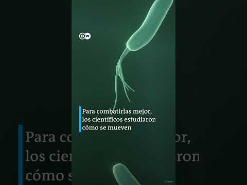 Video: ¿Cómo se mueven las bacterias móviles?