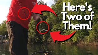3 Wacky Rig Tips That Make an Immediate Impact