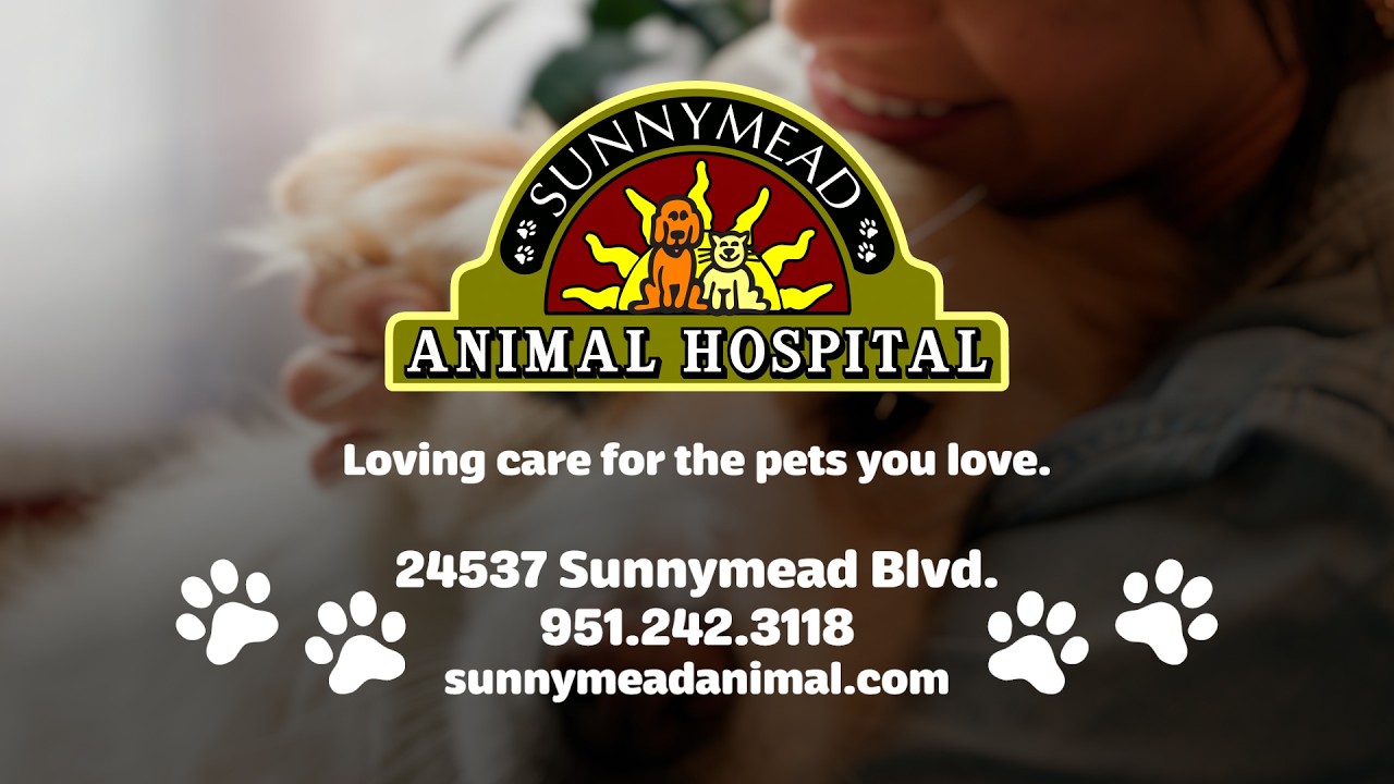 Spotlight on Moreno Valley Business - Sunnymead Animal Hospital