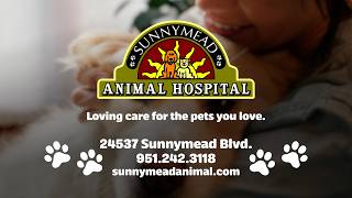 Spotlight on Moreno Valley Business - Sunnymead Animal Hospital