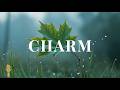 CHARM - Minimalist Guitar 🌿 Soft Calm Music for Focus &amp; Relaxation | GUITAR TRANQUILITY