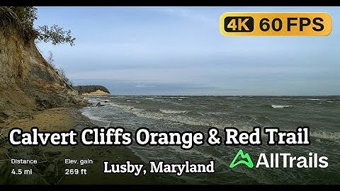 4K Calvert Cliffs Orange & Red Trail in Lusby, Maryland