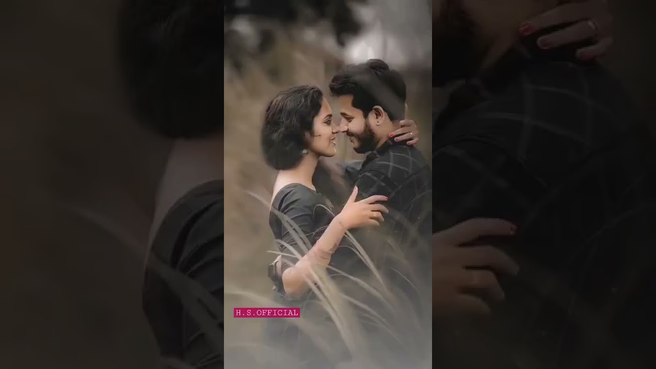 Main Tera Hero number van Hindi Bhojpuri WhatsApp status video funny status Hindi status