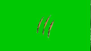 Green screen cakaran harimau