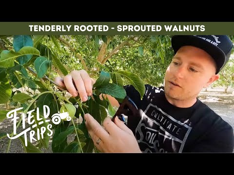 It's more than just nuts! - Tenderly Rooted | Field Trips