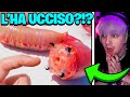 MORSO DALL’INSETTO PIÙ PERICOLOSO DEL MONDO!!