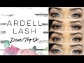(20 Pairs.) Ardell Lash Try-On/Demo feat. EyelashesUnlimited.com!
