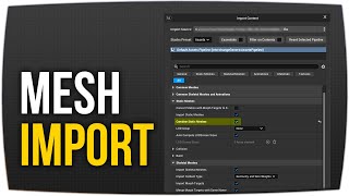 Meshes importieren (Anfänger) (Lang) ► Unreal Engine 5.5+ Tutorial #UE5