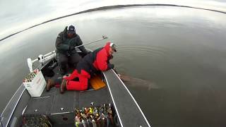 HUGE 54" Lake of the Woods Muskie