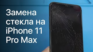 Замена стекла дисплея на iPhone 11 Pro Max в сервис-центре Apple Pro (Москва)