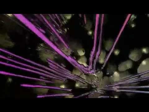 Extrawelt - Darkside of my Room