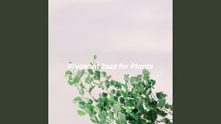 Delightful Ambience for Slow Devotion