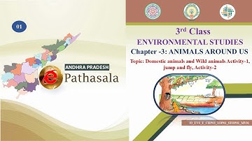 3rd Class-EVS-Animals Around Us-Animals Around Us