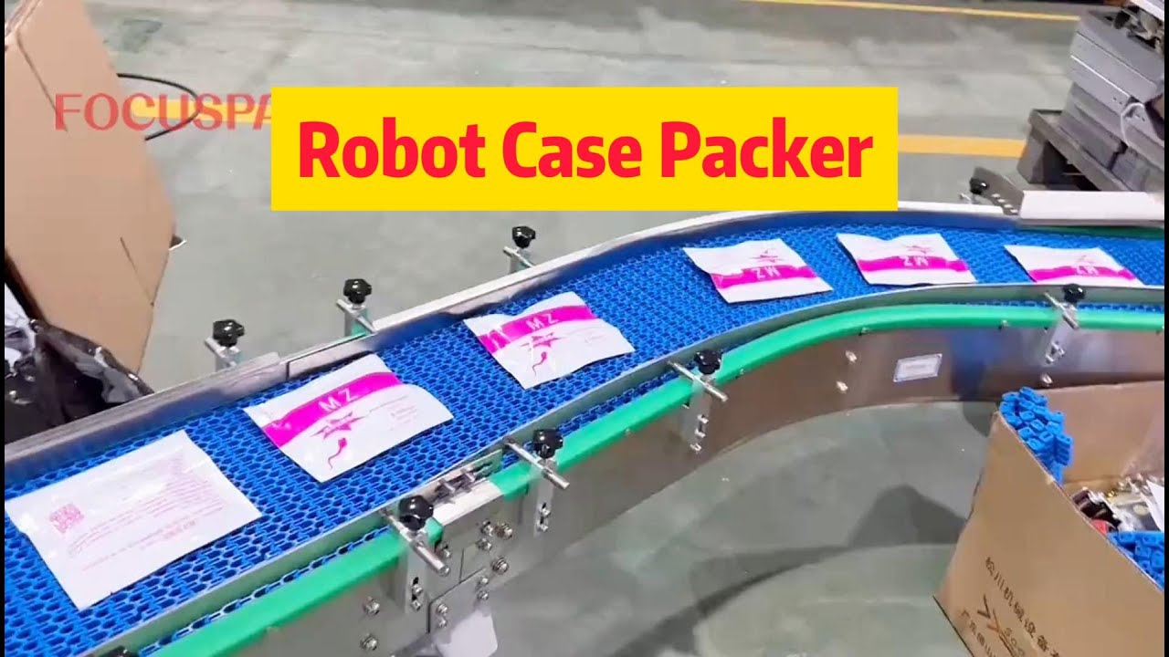 Delta Robot Case Packer with Automatic High Speed Flexible Packing Machine for Easy Changeover