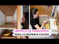 LIMPIEZA y ORGANIZACION de la DESPENSA 🌸 Limpieza de PRIMAVERA