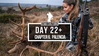 STAG CULTURE DAY 22 💥 46 DAYS OF HUNTING FOR RED DEER PAID OFF ON THE LAST DAY