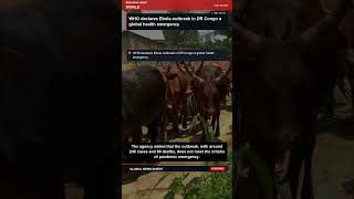 World Headlines | Daily Briefing - Today | Global News Digest